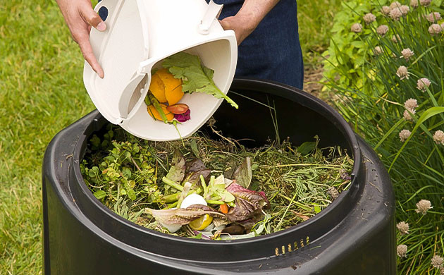 Органическая часть живой почвы Органическая составляющая живого грунта