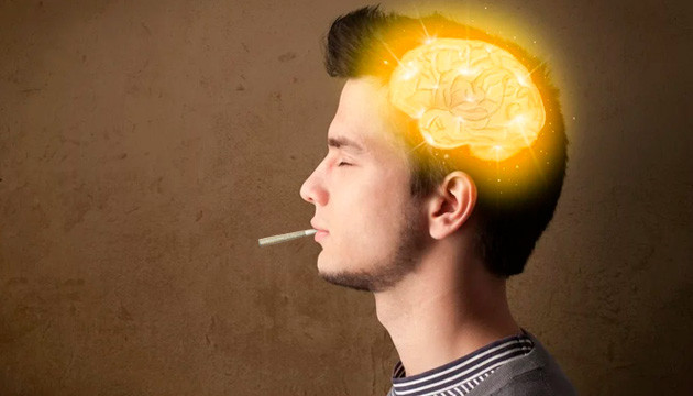 Влияние марихуаны на память и способность обучаться Влияние каннабиса на память