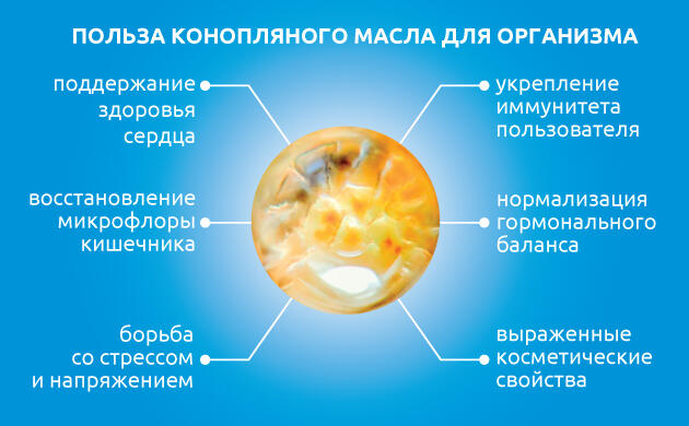 Конопляное масло: укрепление сердца, нервной системы и кожи Польза конопляного масла для организма и иммунитета