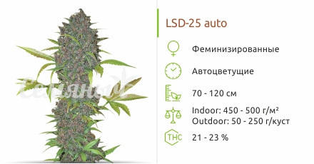 LSD-25 auto от FastBuds