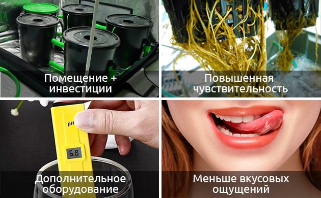 Минусы гидропонного выращивания