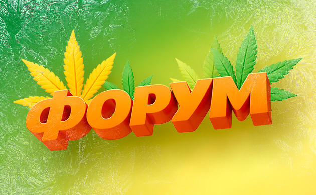 Форум «Семяныч» Форум