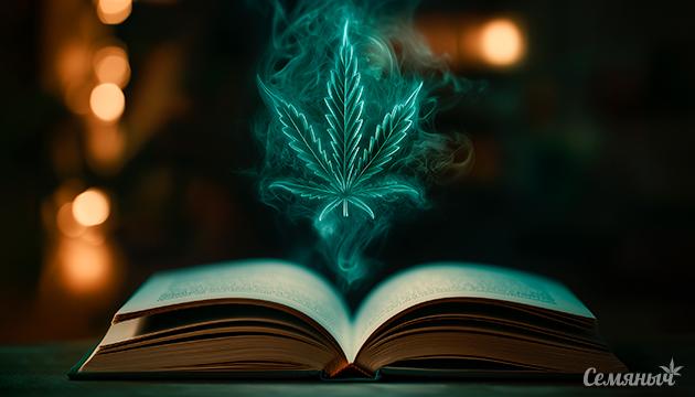Чтение под коноплей – концентрация и расслабление Чтение после употребления каннабиса