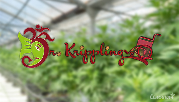 История сидбанка Dr Krippling Dr Krippling Seeds