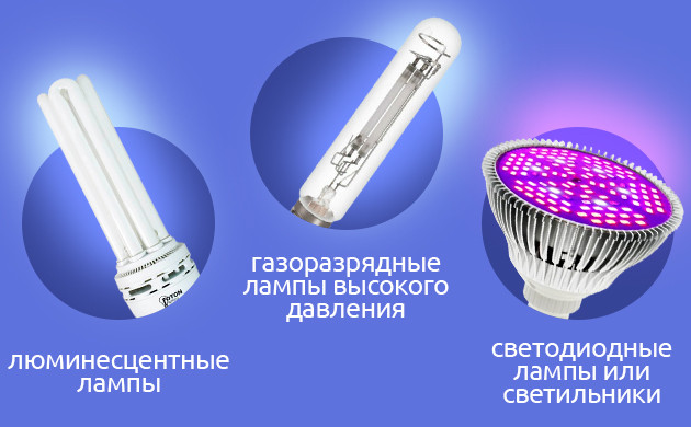 Преимущества и недостатки ЭСЛ ламп для конопли