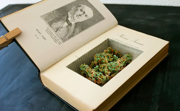 Скрытые заначки: тайники на видном месте Книга как тайник для каннабиса