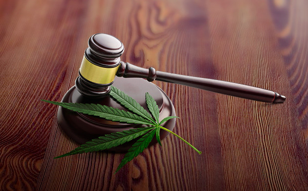 Отношение властей к употреблению конопли в Египте Закон и марихуана в Египте