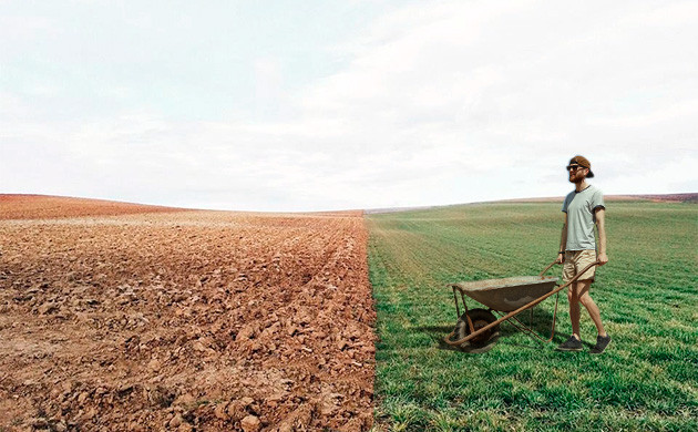 Органическое удобрение в аутдоре Удобрение почвы навозом