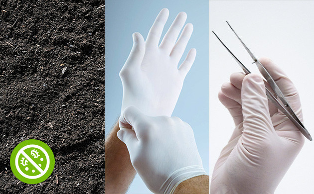 Соблюдение правил гигиены Стерильная работа с семенами