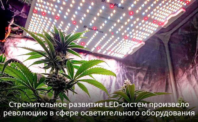 ДНаТ, LED и особенности спектра Технология освещения и особенности спектра