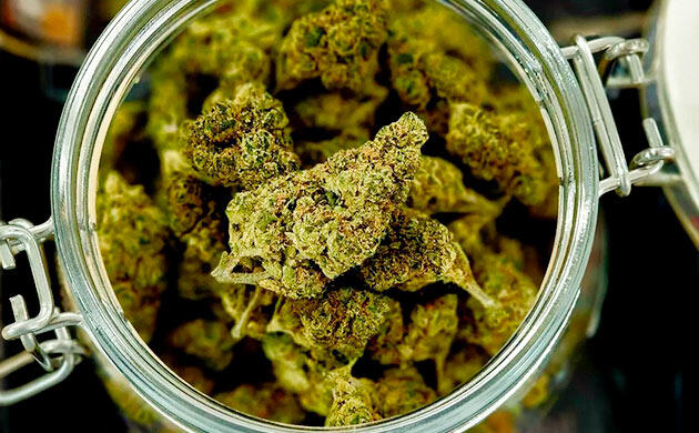 Процесс пролечки каннабиса