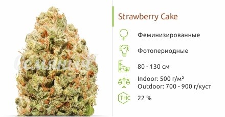 Сорт конопли Strawberry Cake Strawberry Cake fem от Heavyweight Seeds