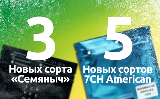 3 сорта от «Семяныча» и 5 от 7CH American 8 сортов от сидбанков «Семяныча»