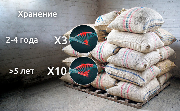 Появление мутация в зависимости от времени хранения семян