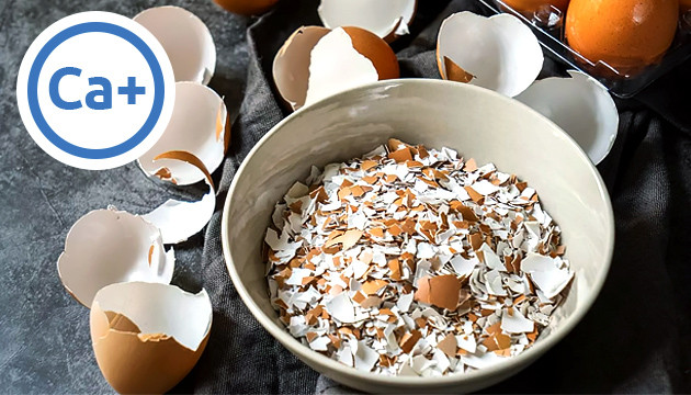 Дефицит кальция Яичная скорлупа