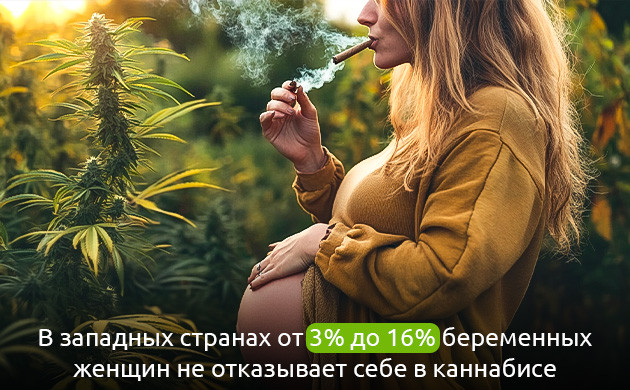 Использование каннабиса беременными женщинами