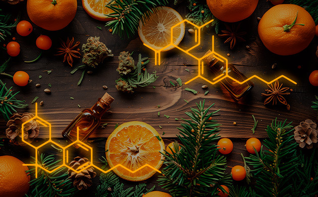 Синергия веществ в каннабисе ТГК и КБД: лучше вместе