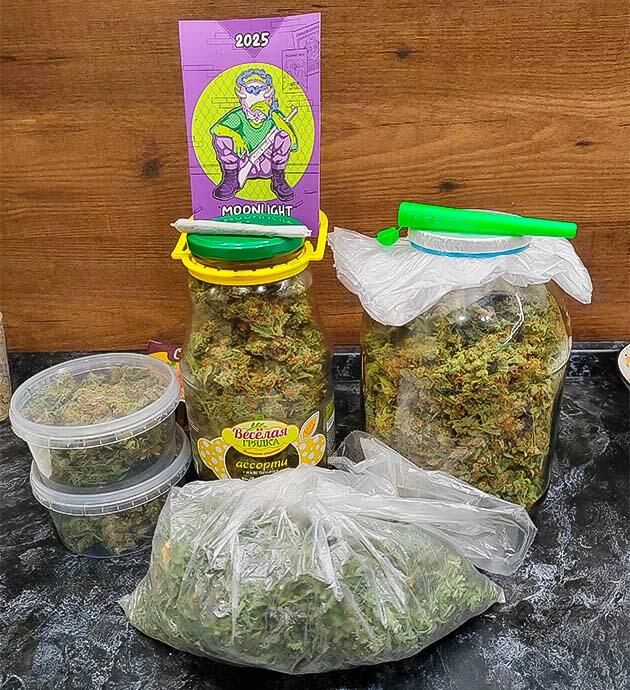 Харвест Gorilla Cookies Auto