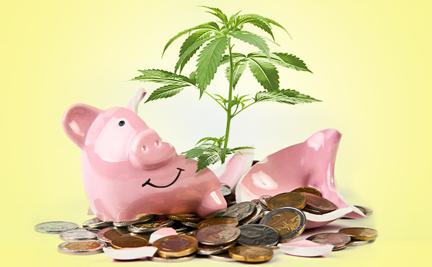 Экономия бюджета Малобюджетный гровЭкономия бюджета