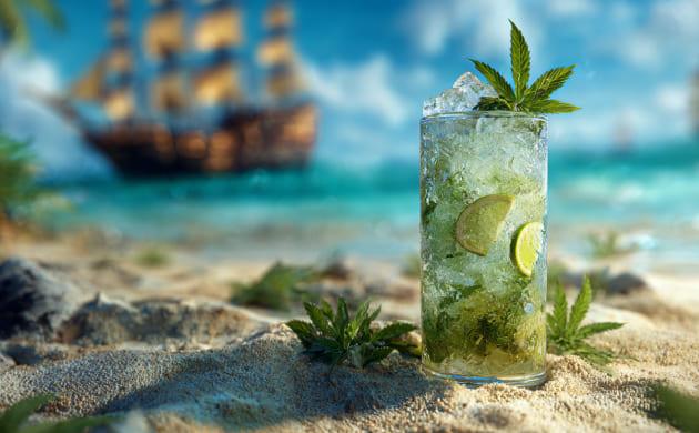 История мохито