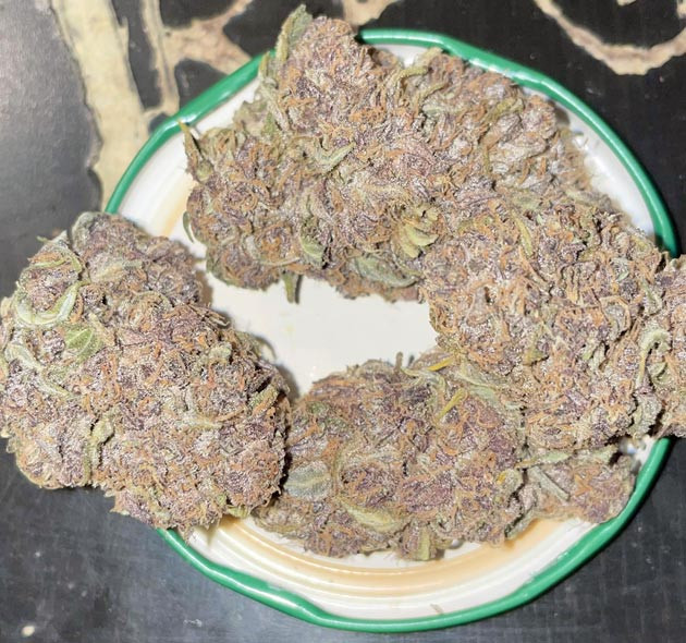 Харвест Runtz Auto Сбор урожая Runtz Auto