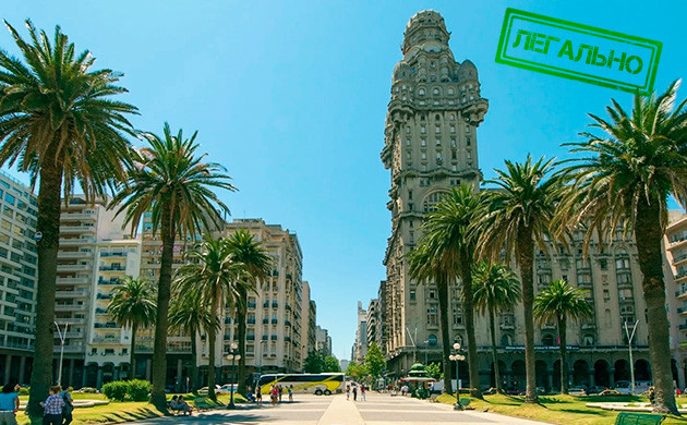 Статус марихуаны в Уругвае Легален ли каннабис в Уругвае