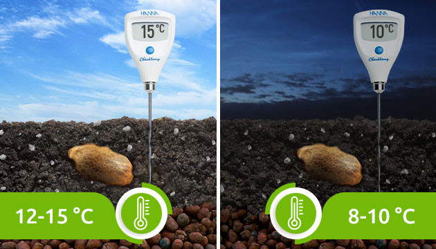 Благоприятная температура грунта Показатели ночной и дневной температуры почвы