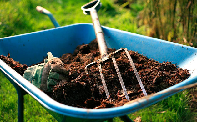 Развитие экологичности выращивания конопли