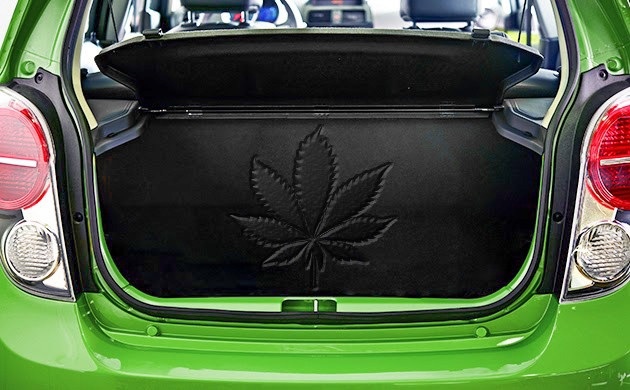 Из марихуаны изготавливают элементы для автомобилей BMW и самолетов Boeing Детали для автомобиля из каннабиса