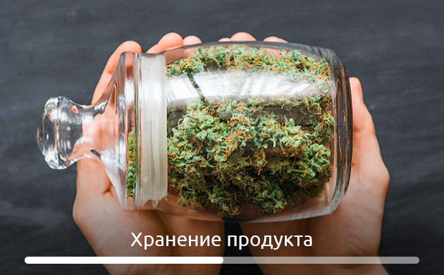 Хранение урожая в стеклянной банке Шишки в стеклянной банке