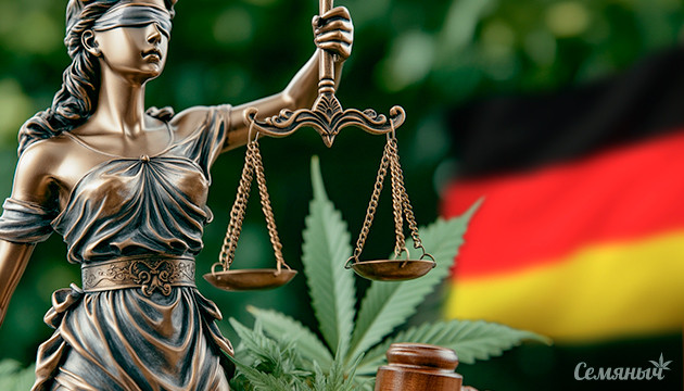 Большинство немцев поддерживают легализацию марихуаны Немцы поддерживают легализацию марихуаны
