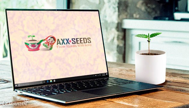 axxseeds семена марихуаны