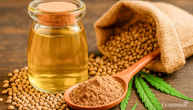Конопляное масло в современном рационе Конопляное масло из семян как натуральный источник полезных веществ