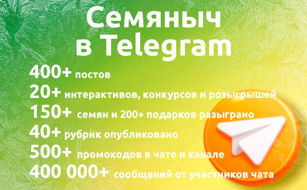 Итоги 2025 года из нашего Telegram-канала «Семяныч» в Telegram