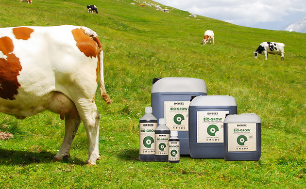 Органические удобрения для конопли