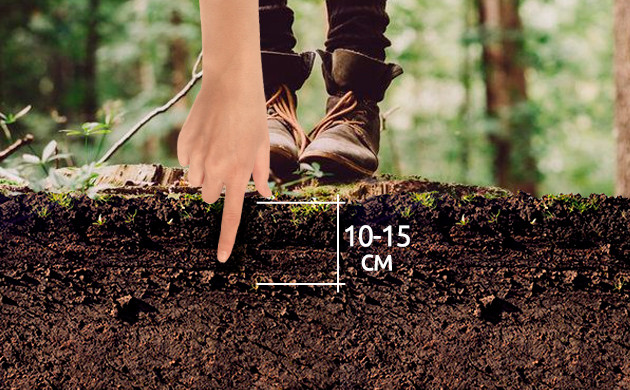 Проверка влажности почвы Проверка влажности на глубине 10-15 см