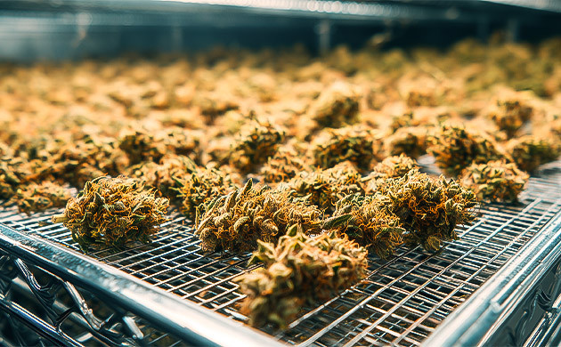 Плюсы и минусы сушки на решётках/подносах Сушка на решётках/подносах/поддонах