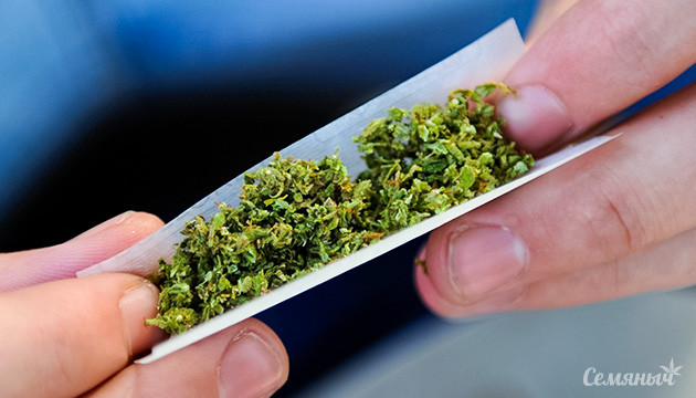 Измельчение шишек подручными средствами Как измельчить коноплю без гриндера