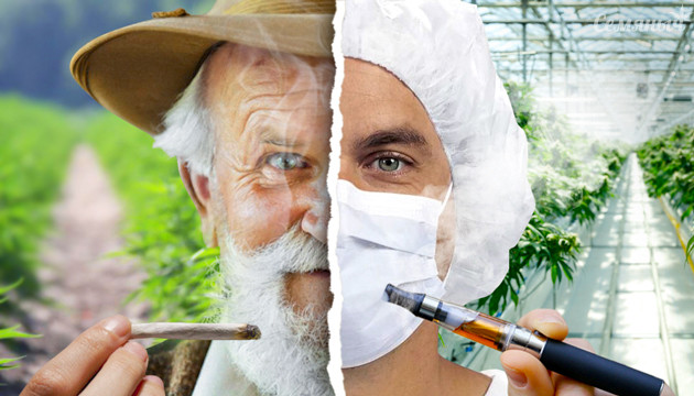 Тест тренды гровинга