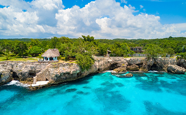 Оренж-Хилл: лучшие сорта Запада Каннабис в Оренж-Хилл