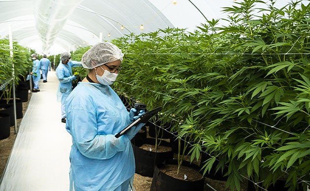 Работа в Dr. Krippling Работники сидбанка