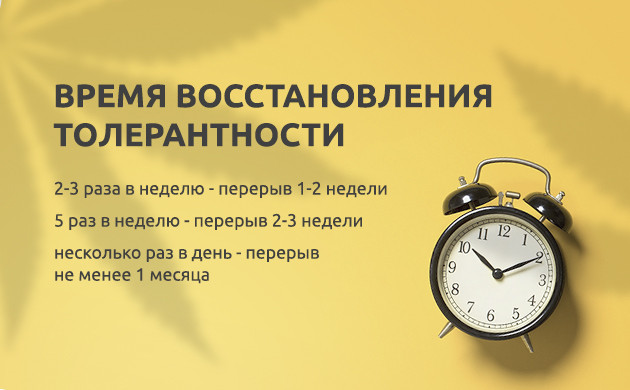 Срок восстановления толерантности для разных пользователей Время восстановления толерантности