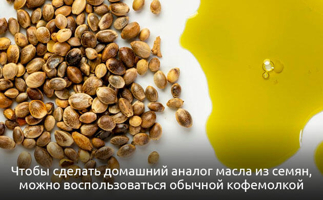 Масло из семян конопли в домашних условиях Приготовление конопляного масла в домашних условиях