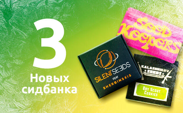 Новинки на витринах «Семяныча» Новые сидбанки на Семяныче