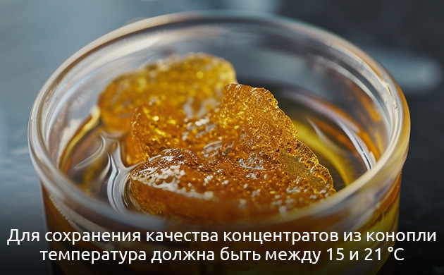 Единые правила для разных концентратов: сохраняем качество Стабильность каннабиноидов: оптимальная температура для хранения