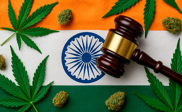 Легальна ли трава в Индии? Марихуана в Индии: правда и мифы