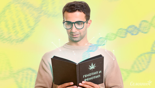 Генотип и фенотип