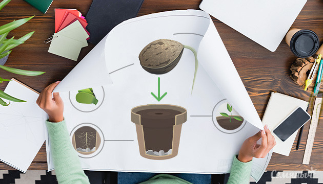 Высадка семян каннабиса Инструкция по высадке семян конопли