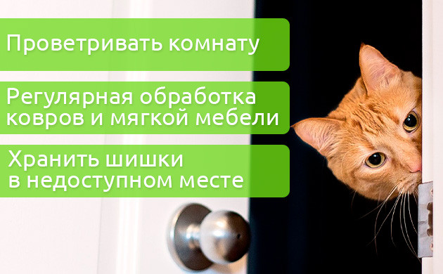 Правила безопасности использования конопли рядом с животными