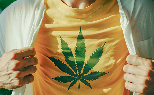 Легализация марихуаны: личный выбор Движение за свободу: выращивание конопли дома